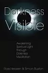 Darkness Visible cover