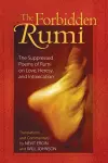 The Forbidden Rumi cover