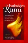 The Forbidden Rumi cover