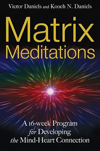 Matrix Meditations cover