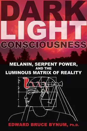 Dark Light Consciousness cover