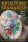 Neolithic Shamanism cover