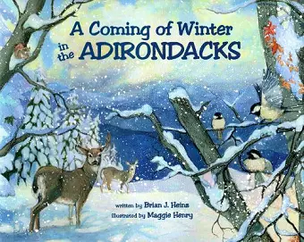 A Coming Of Winter In The Adirondacks cover