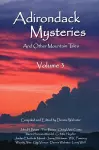Adirondack Mysteries cover