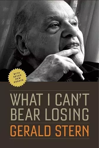 What I Can't Bear Losing cover