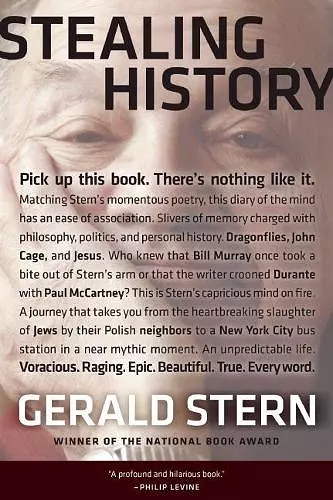 Stealing History cover