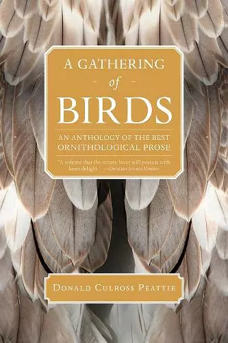 A Gathering of Birds cover