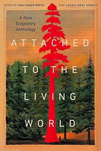 Attached to the Living World cover