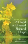 A Cloud of Unusual Size and Shape cover