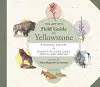 The Artist's Field Guide to Yellowstone cover