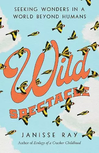 Wild Spectacle cover