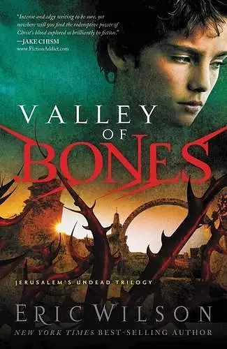 Valley of Bones cover