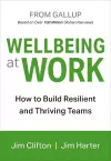 Wellbeing At Work cover