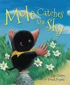 Mole Catches the Sky cover