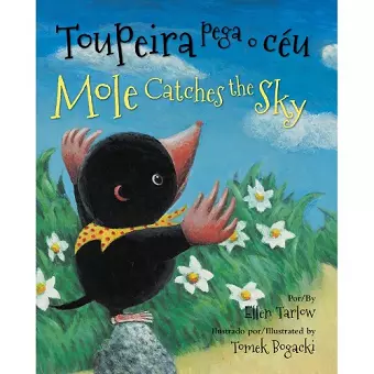 Mole Catches the Sky (Portuguese/English) cover