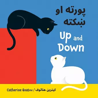 Up and Down (Pashto/English) cover