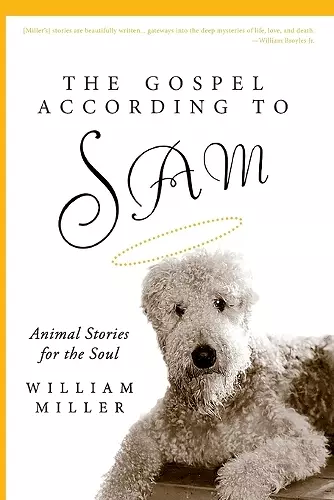 The Gospel According to Sam cover