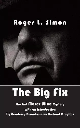 The Big Fix cover