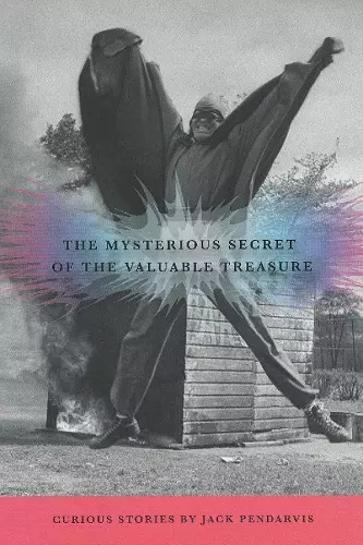 The Mysterious Secret of the Valuable Treasure cover