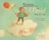 Sora and the Cloud cover
