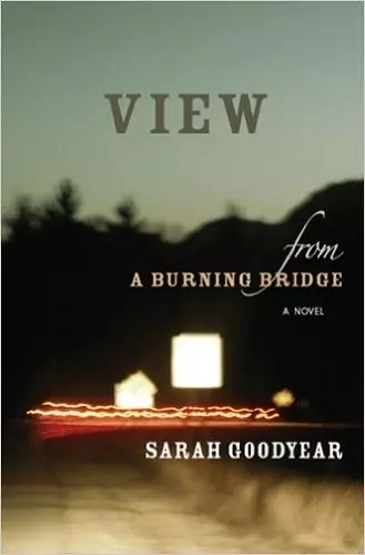 VIEW FROM A BURNING BRIDGE cover