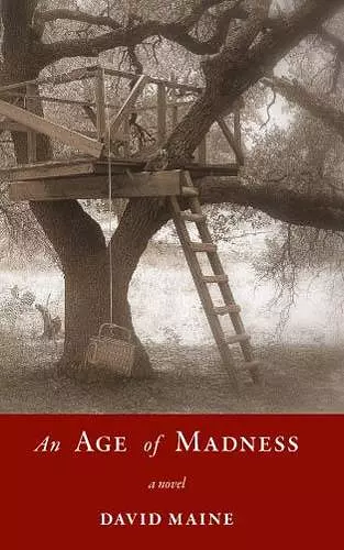 An Age of Madness cover