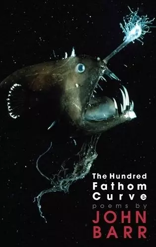 The Hundred Fathom Curve cover