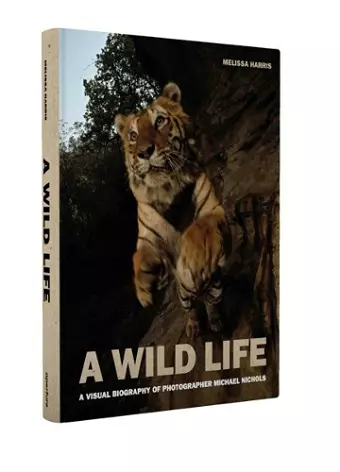 A Wild Life cover