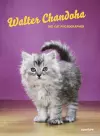 Walter Chandoha: The Cat Photographer cover