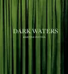Kristine Potter: Dark Waters cover