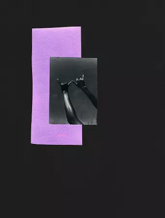 Dionne Lee: A Monograph cover
