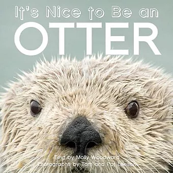 It's Nice to Be an Otter cover