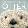 It's Nice to Be an Otter cover