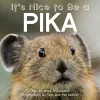It's Nice to Be a Pika cover