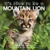 It's Nice to Be a Mountain Lion cover