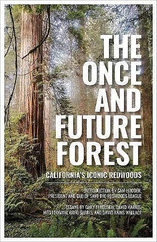 The Once and Future Forest cover