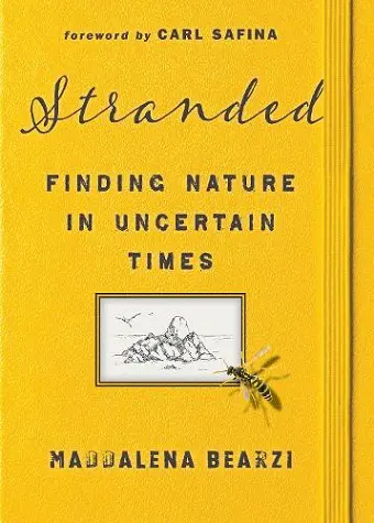 Stranded cover