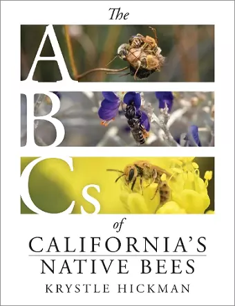 The ABCs of California's Native Bees cover