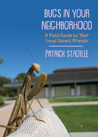 Bugs in Your Neighborhood cover