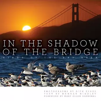 In the Shadow of the Bridge cover