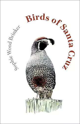 Birds of Santa Cruz cover