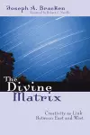 The Divine Matrix cover