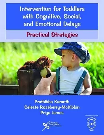 Intervention for Toddlers with Cognitive, Social, and Emotional Delays cover