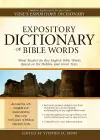 Expository Dictionary of Bible Words cover