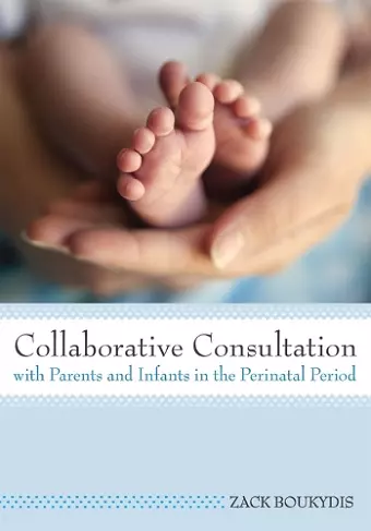 Collaborative Consultation with Parents and Infants in the Perinatal Period cover