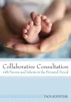Collaborative Consultation with Parents and Infants in the Perinatal Period cover