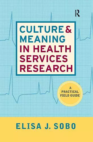 Culture and Meaning in Health Services Research cover