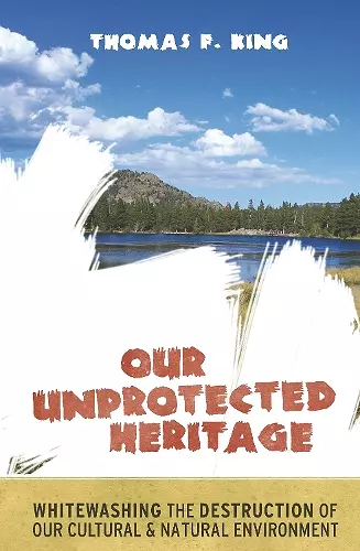 Our Unprotected Heritage cover