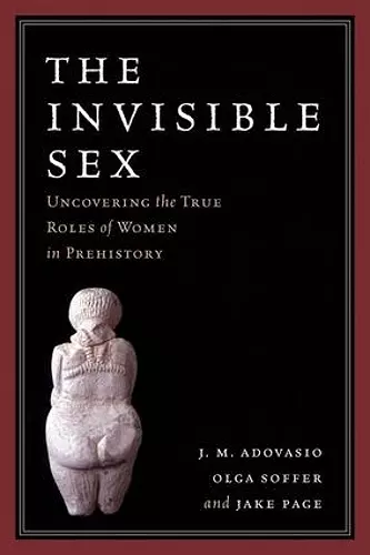 The Invisible Sex cover