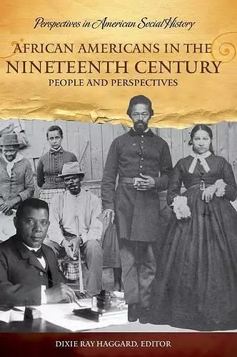 African Americans in the Nineteenth Century cover